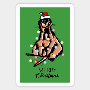 Meerkat Christmas Lights Magnet